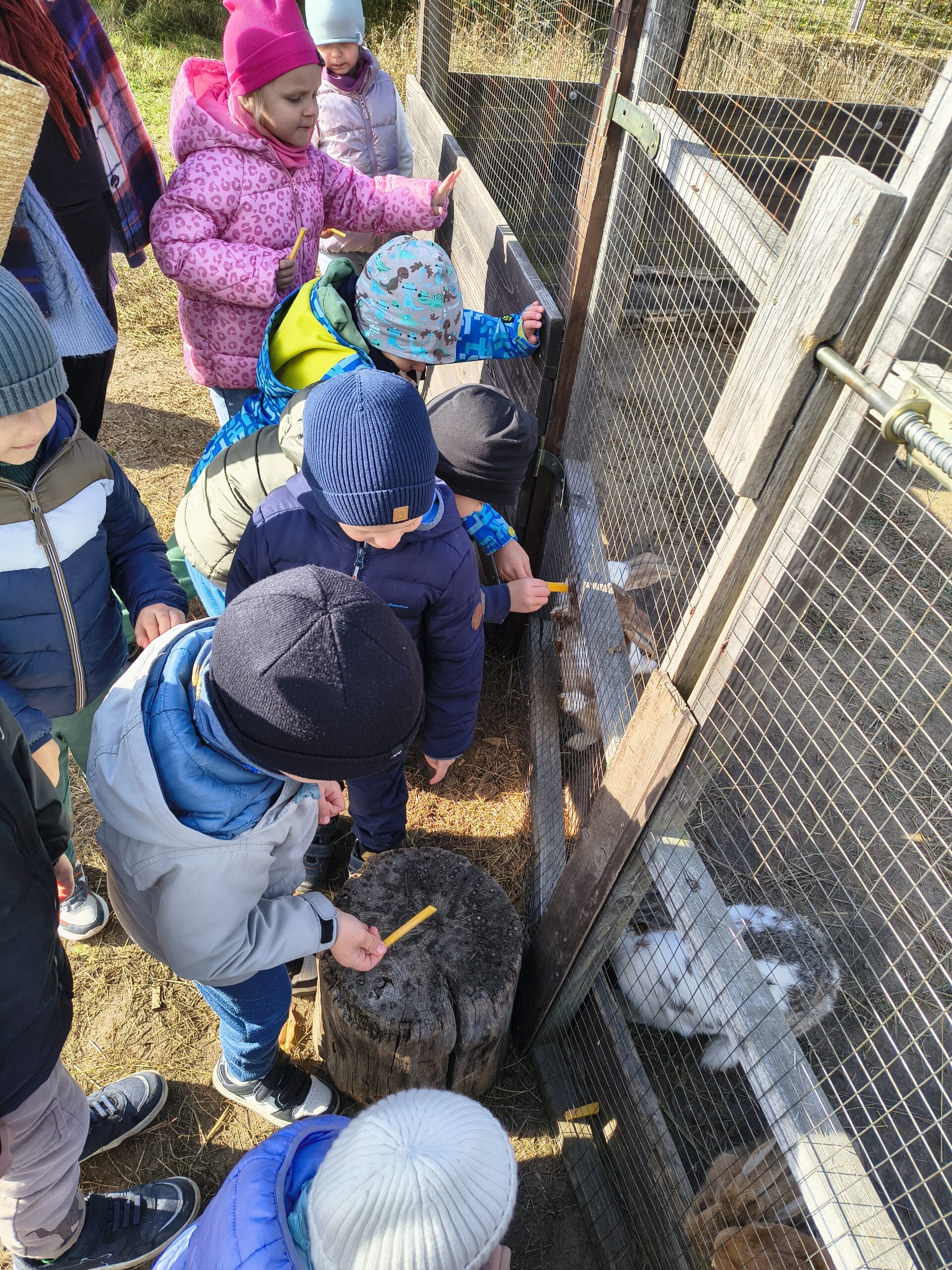 Img 20251015 112447681 Hdr