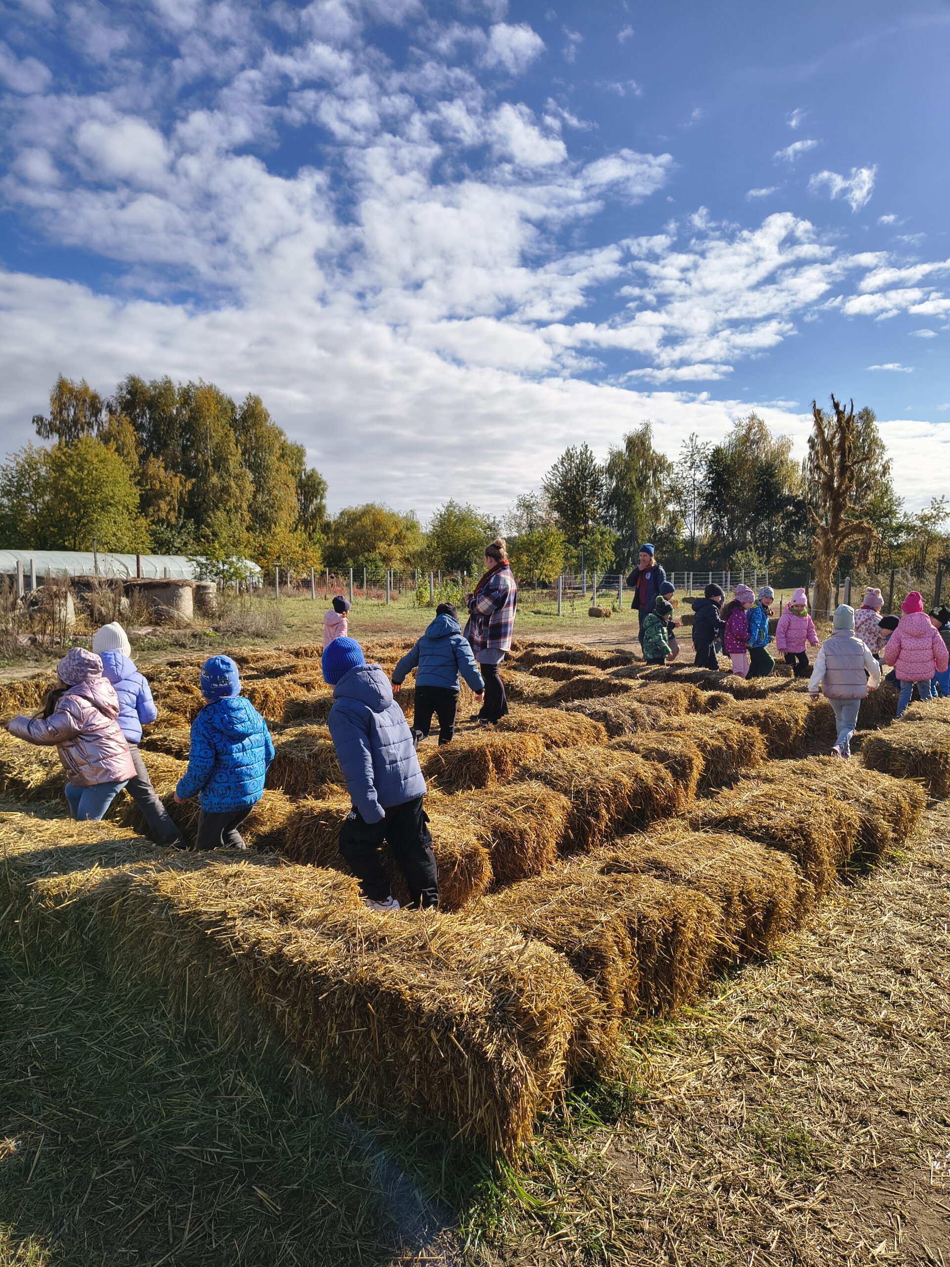 Img 20251015 113949283 Hdr