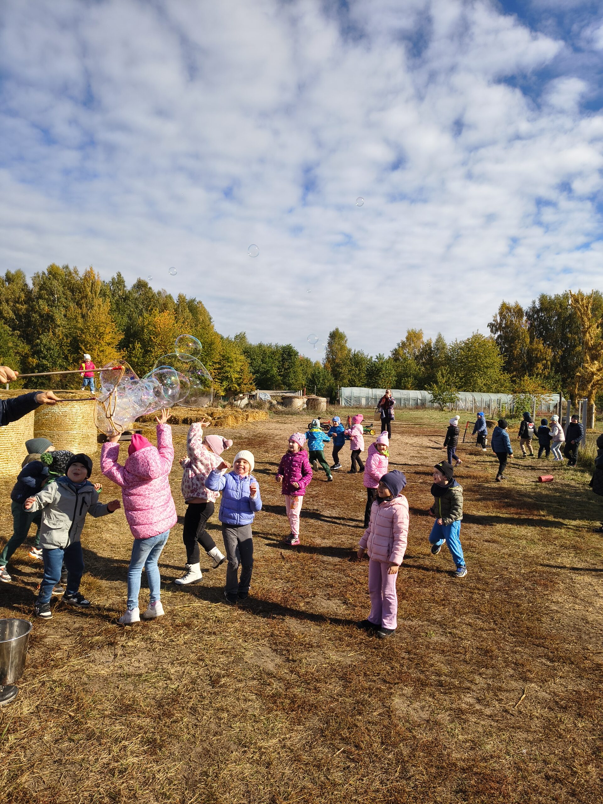 Img 20251015 114258689 Hdr