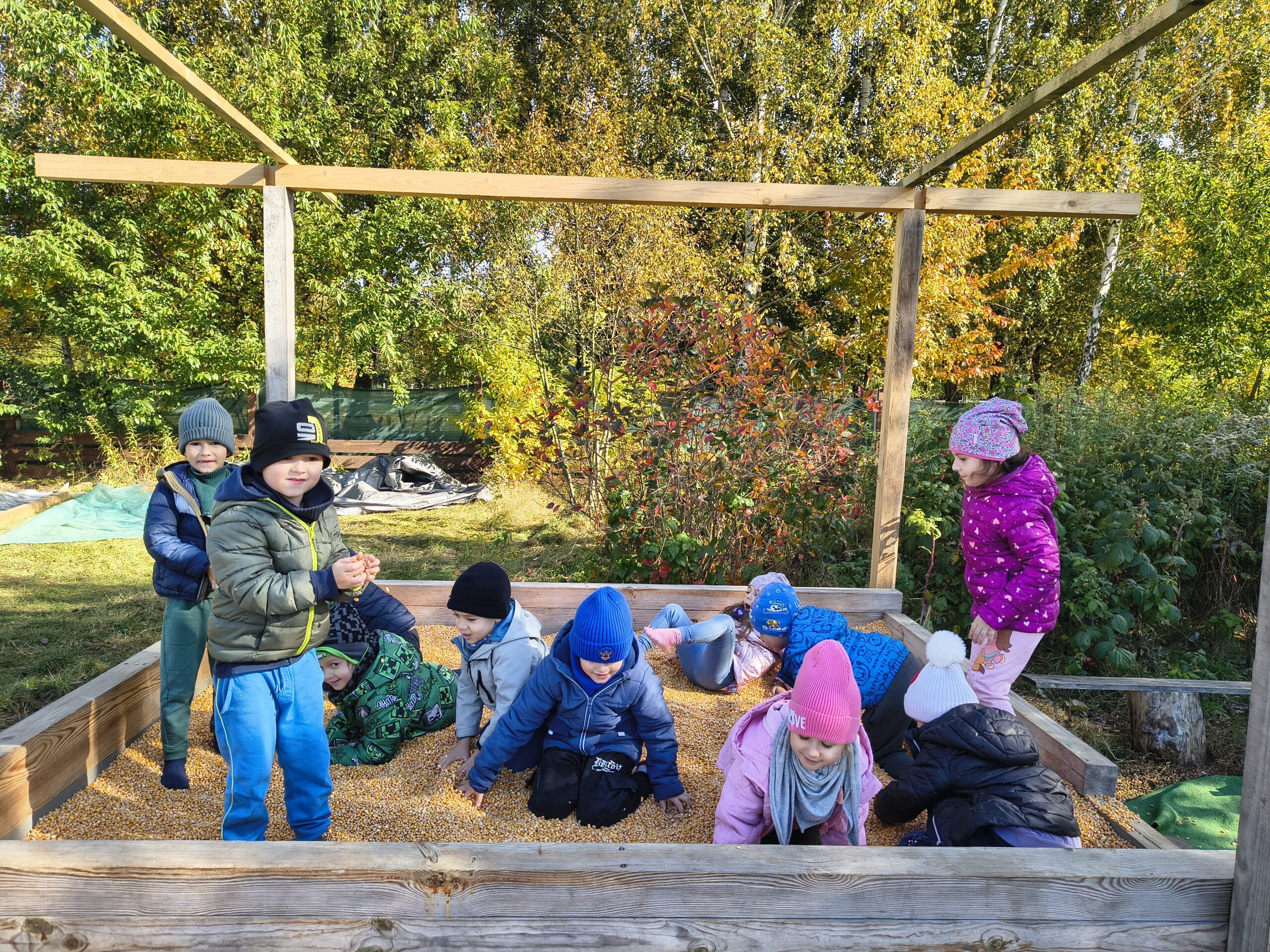 Img 20251015 115818481 Hdr