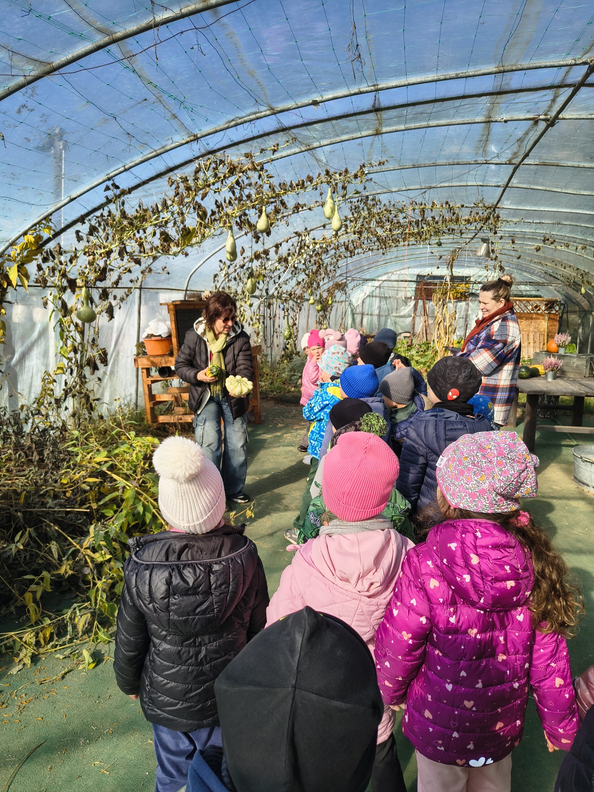 Img 20251015 120449324 Hdr