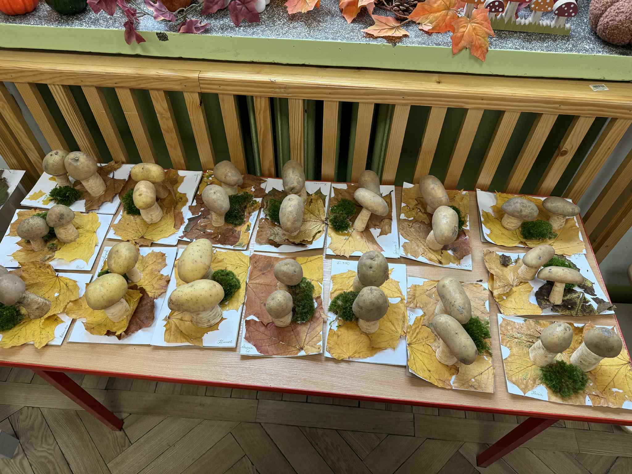 07022f74 B5be 45a2 A9a9 A17cdf7ba9c0