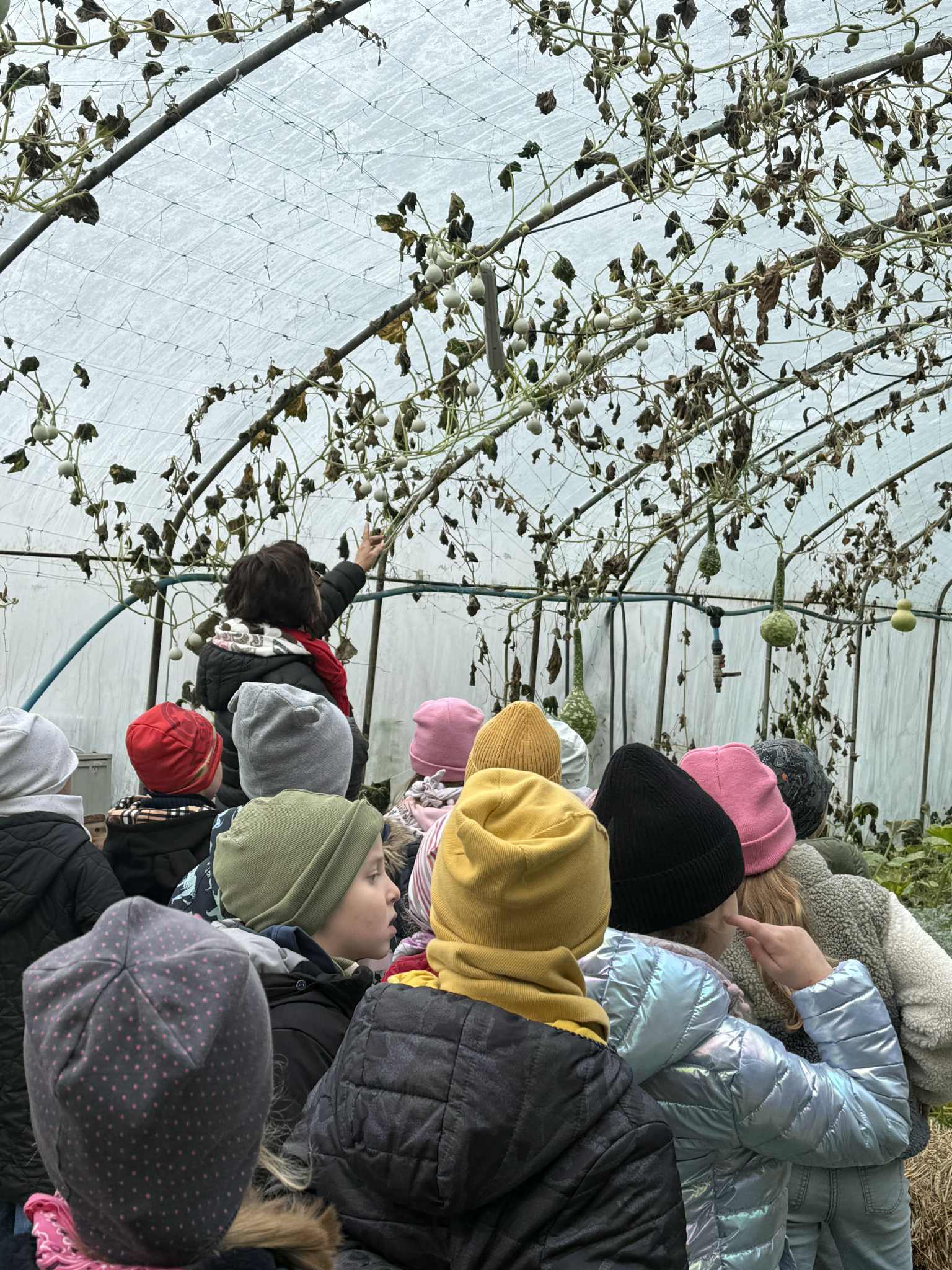 1bcefe8b 5fa5 46ac 9367 A4e78e5ada89