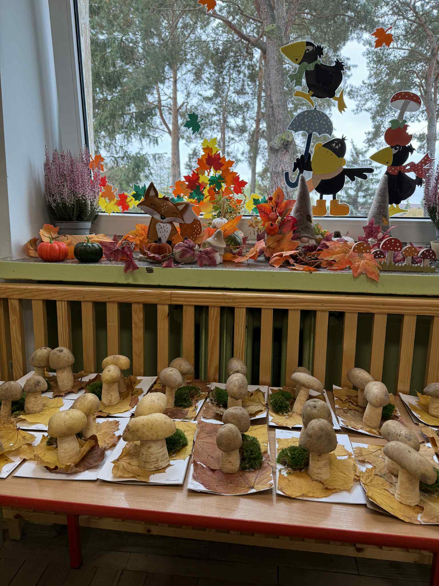 21f288d5 6c90 4409 B0b5 36155908fde9