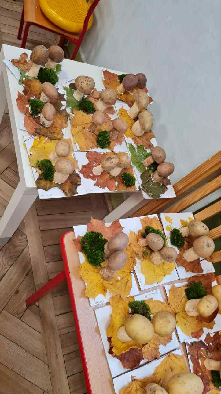 54ac5a45 03e1 4253 9eae B223a6bd1bc2