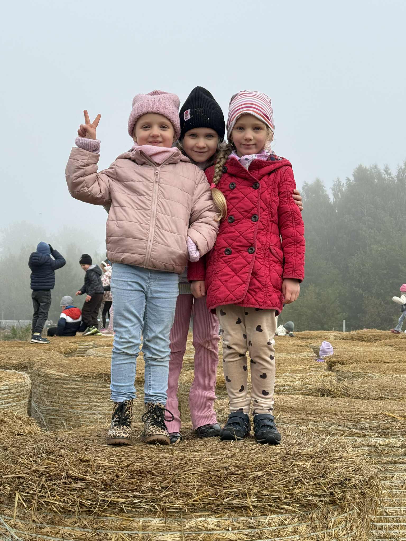 5568a704 3a84 4eba 9bab 323afac28004