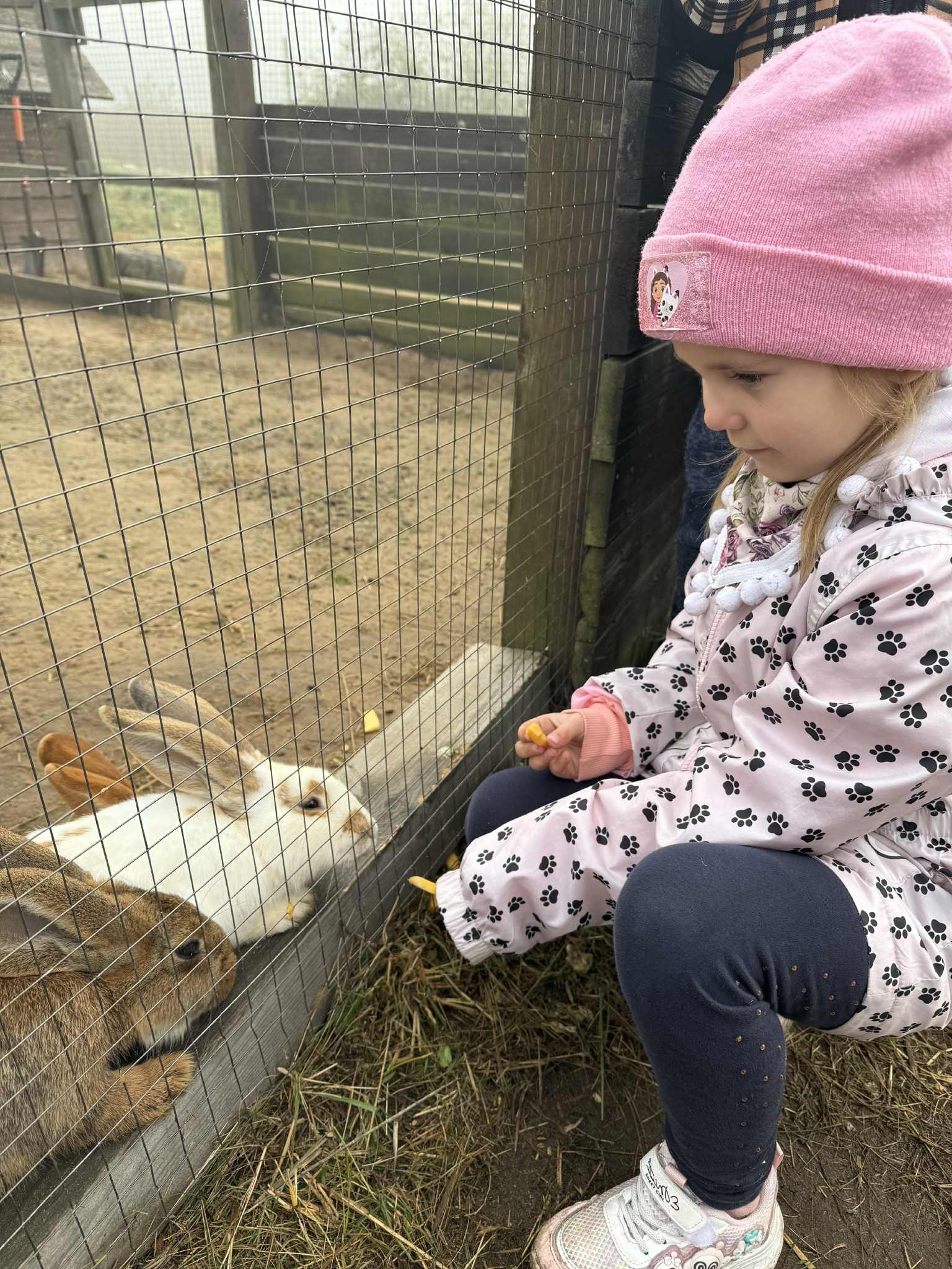 6abbc916 0f5f 4347 A7f4 E489a422183e