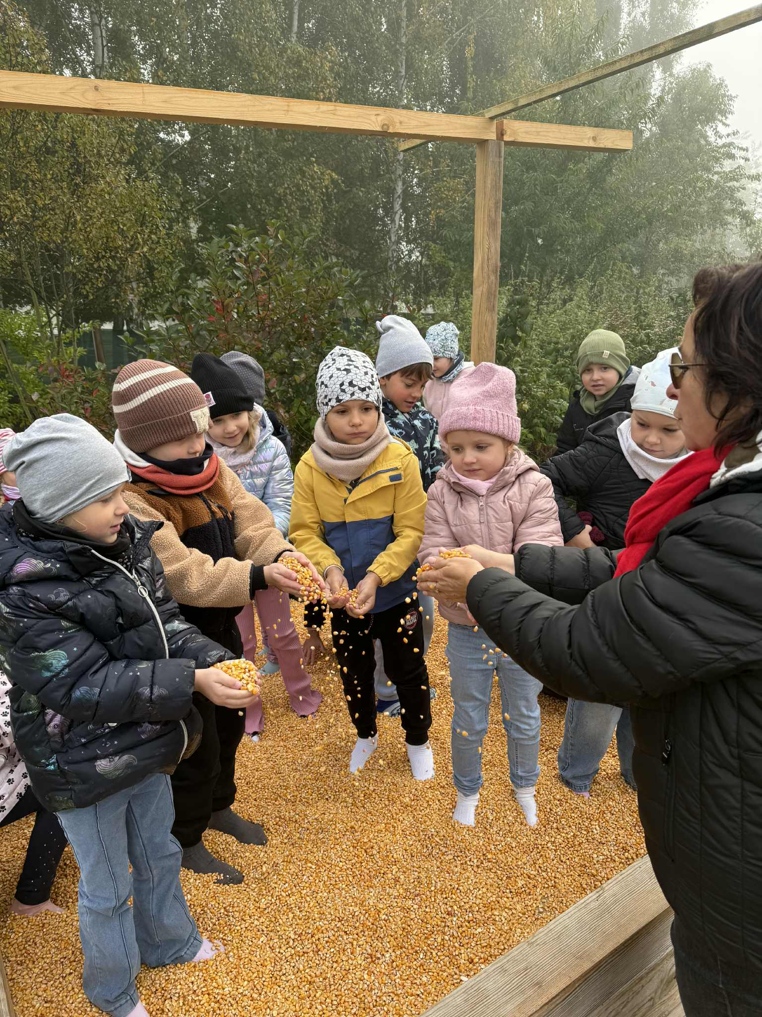 6d69f402 8a18 44ef Ae9a B0bccffb3e6b