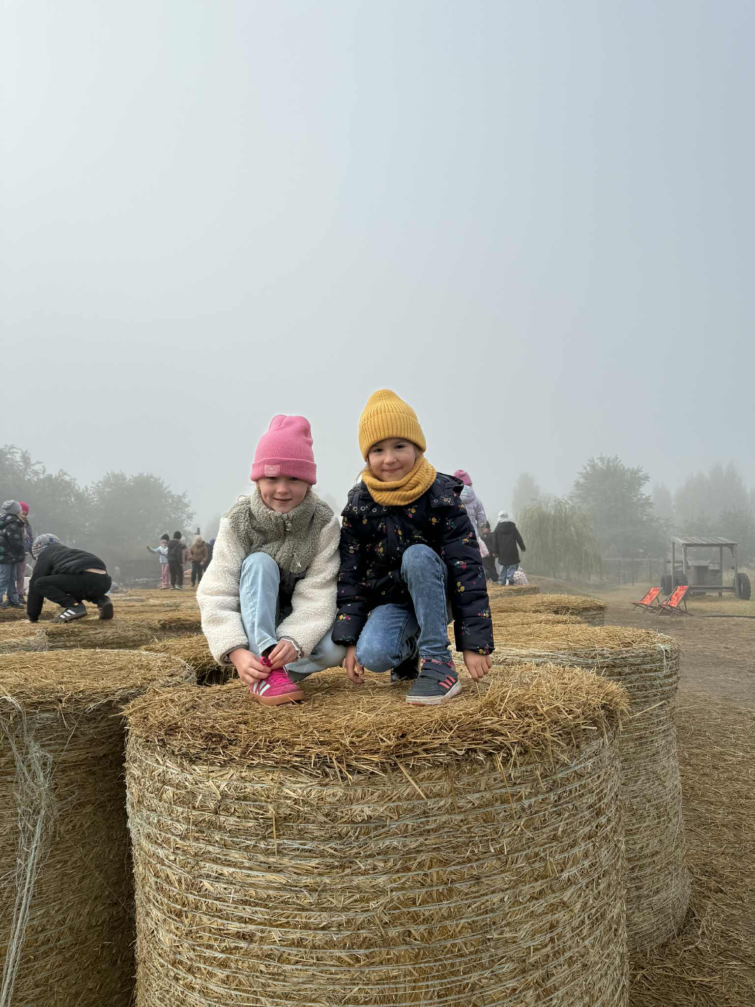 91005465 D2dc 4d4a 81c5 777949556931