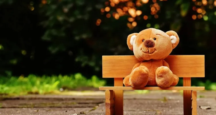 Zdjęcie: DZIEŃ PLUSZOWEGO MISIA