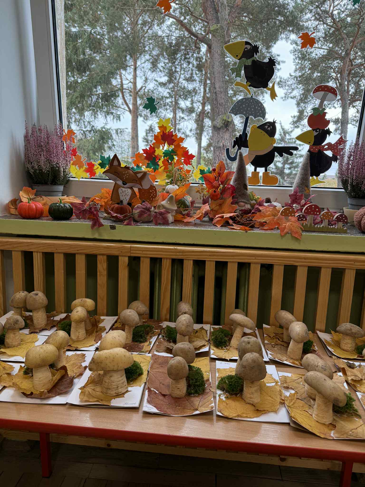 Ad1ad9b8 Ed91 4ea9 Ada2 C8faf82a68bf