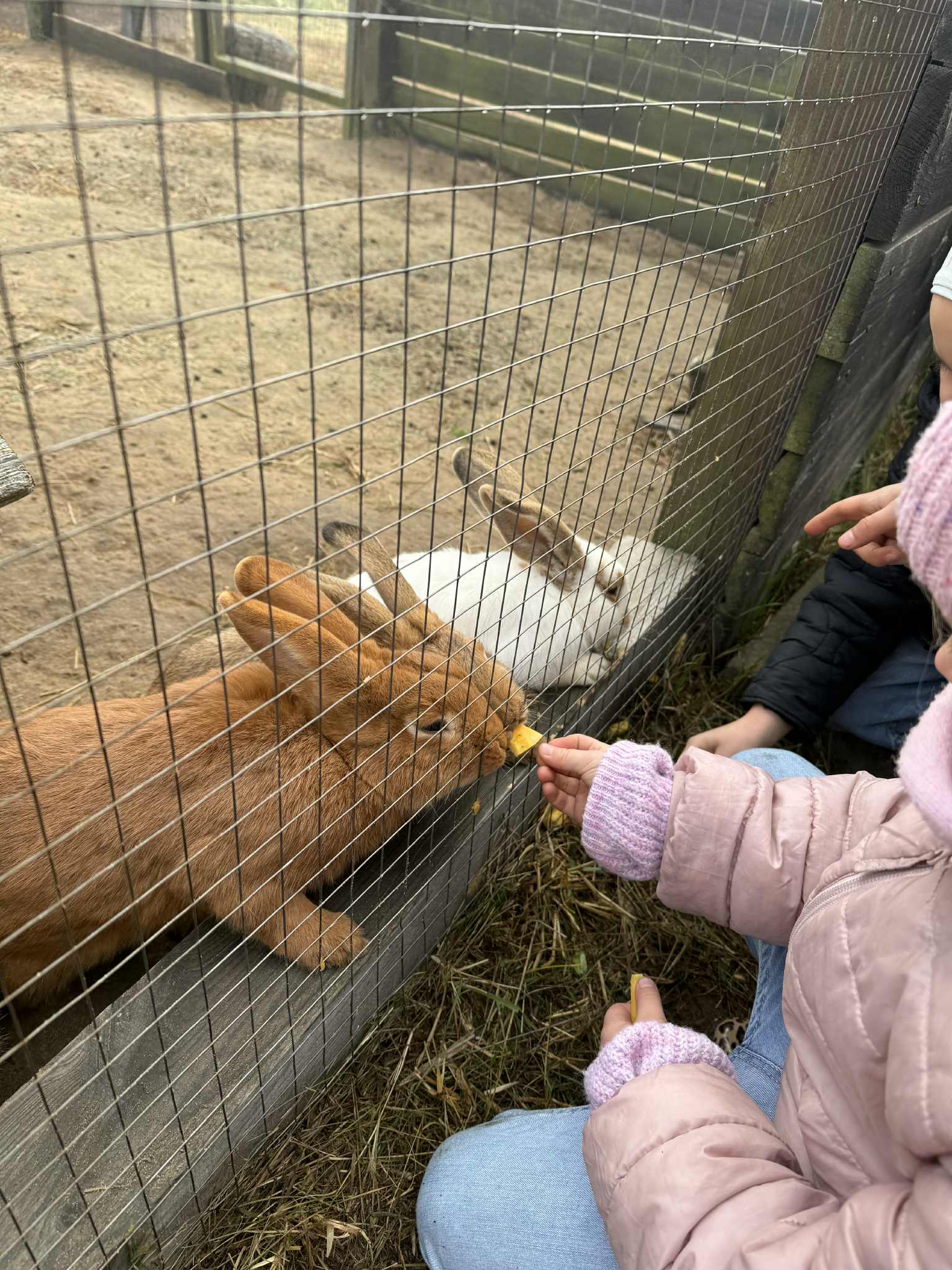 C50671d0 0f00 47e1 99c2 Cc034937ff9c