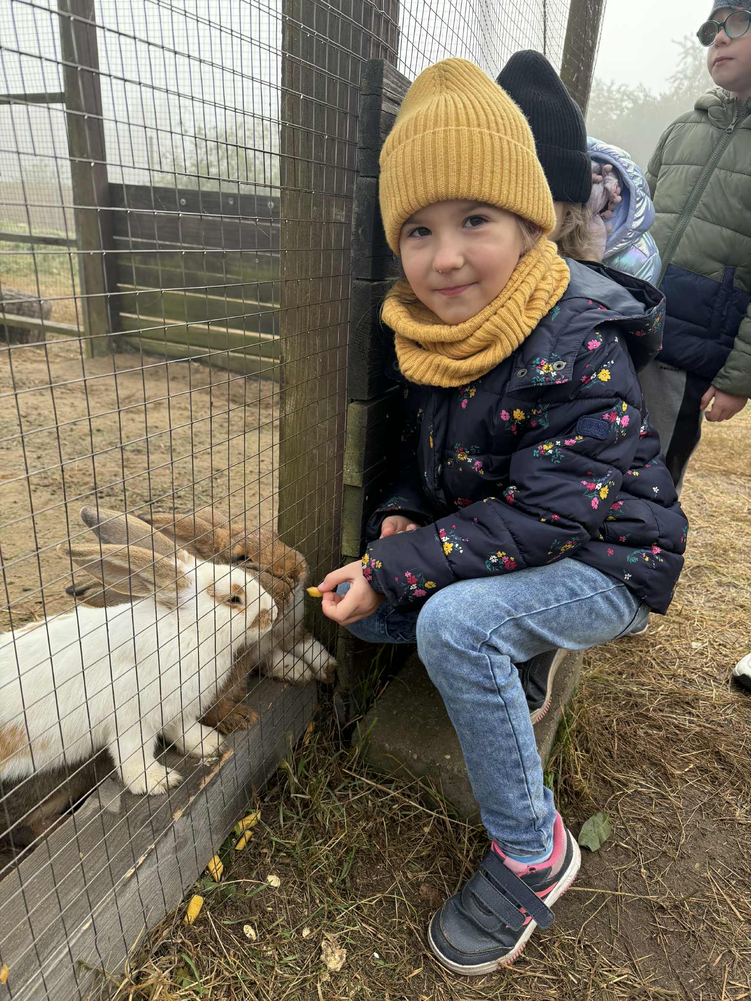 F84b7cb1 B7f0 4c69 9143 E24291ef114a