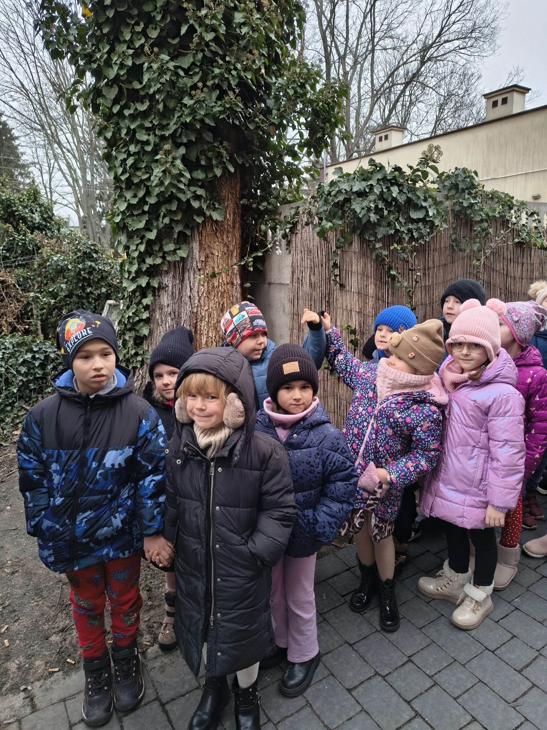 Img 20251215 111151327 Hdr