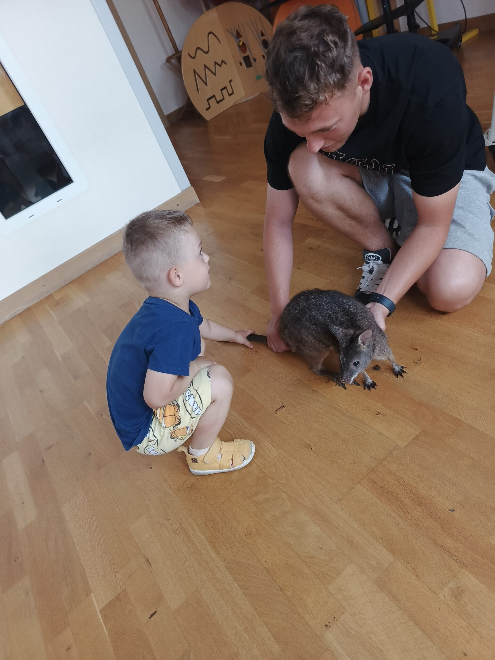 0 2976x3968 0 0#