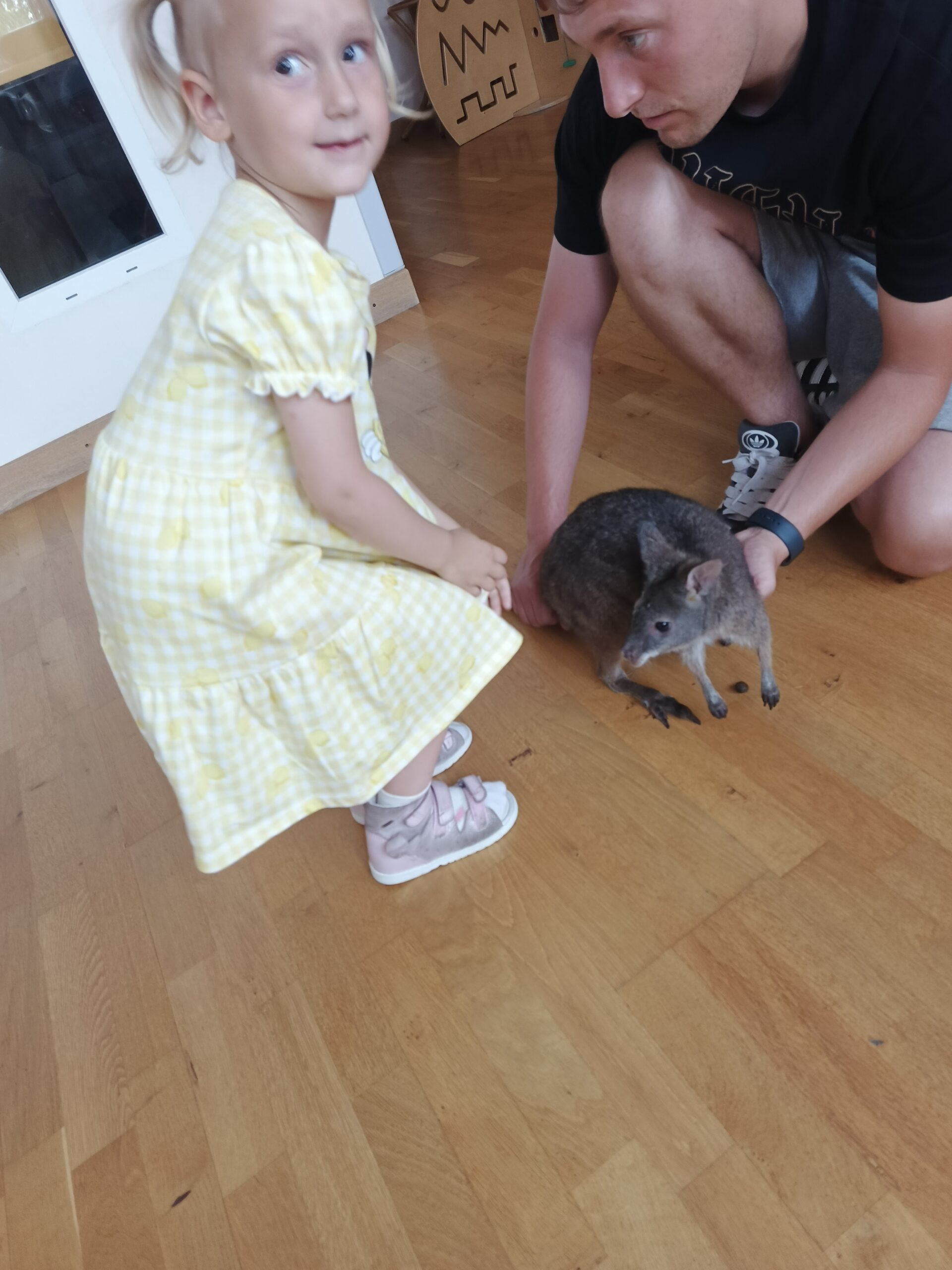 0 2976x3968 0 0#