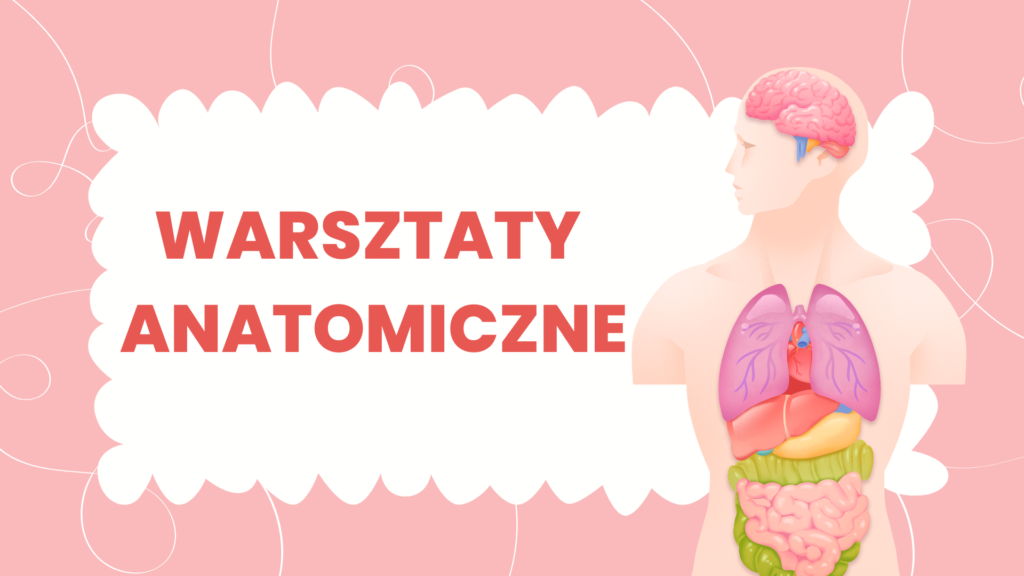 Zdjęcie: WARSZTATY ANATOMICZNE
