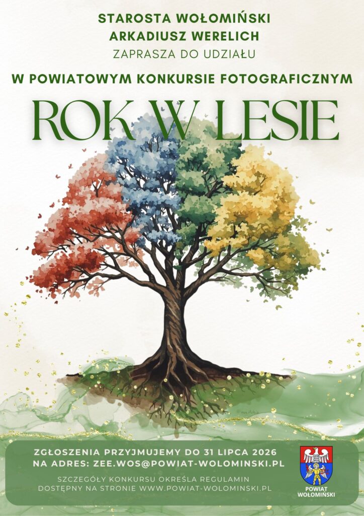 Zdjęcie: „ROK W LESIE”