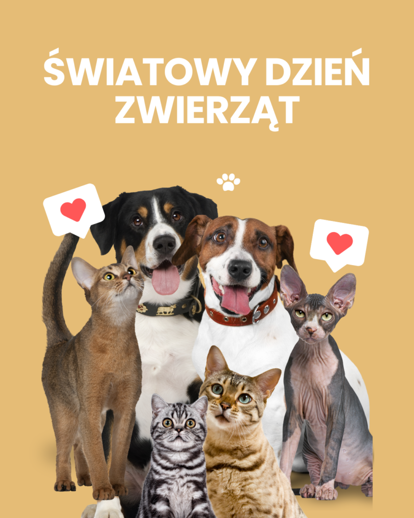 Zdjęcie: ŚWIATOWY DZIEŃ ZWIERZĄT